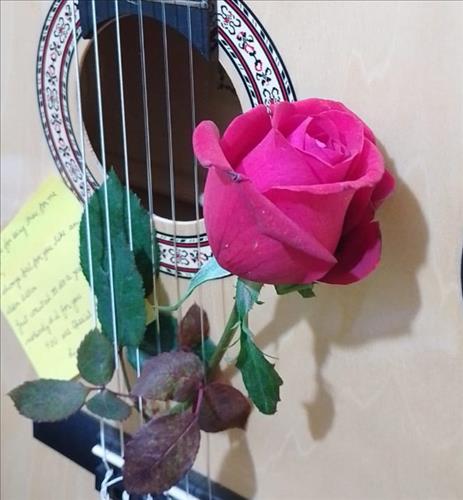 hẹn hò - Kamal-Lesbian -Age:36 - Single-TP Hồ Chí Minh-Friend - Best dating website, dating with vietnamese person, finding girlfriend, boyfriend.