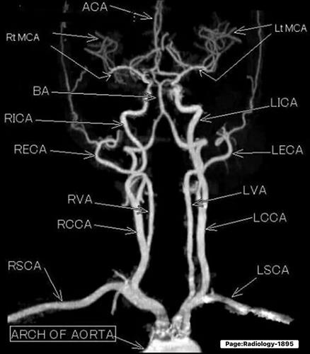hẹn hò - Lặng-Les -Tuổi:36 - Độc thân-TP Hồ Chí Minh-Người yêu lâu dài