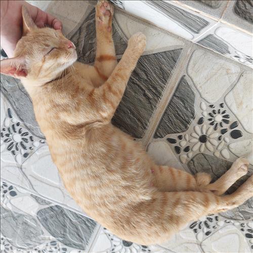 hẹn hò - Lặng-Les -Tuổi:36 - Độc thân-Cần Thơ-Tìm bạn bè mới