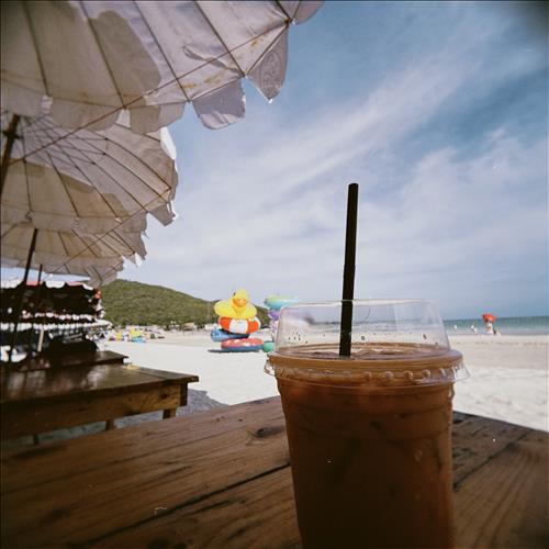 hẹn hò - Zollo-Lesbian -Age:31 - Single-TP Hồ Chí Minh-Lover - Best dating website, dating with vietnamese person, finding girlfriend, boyfriend.