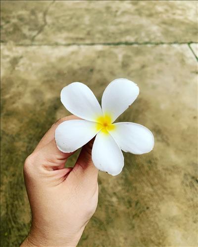 hẹn hò - J.P✨-Lesbian -Age:31 - Single-TP Hồ Chí Minh-Friend - Best dating website, dating with vietnamese person, finding girlfriend, boyfriend.