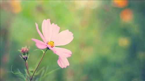 hẹn hò - Trầm Tính-Lesbian -Age:42 - Single--Lover - Best dating website, dating with vietnamese person, finding girlfriend, boyfriend.