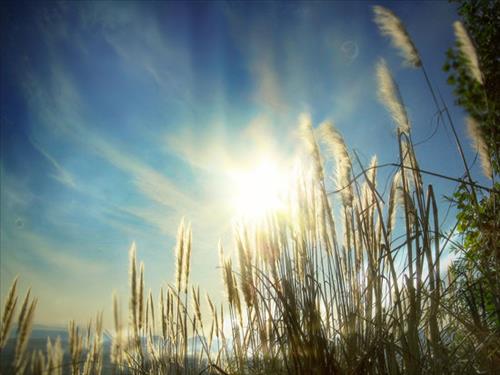 hẹn hò - Nắng Hạ-Les -Tuổi:37 - Độc thân-TP Hồ Chí Minh-Tìm bạn bè mới