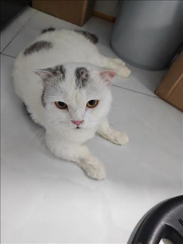 hẹn hò - Thao-Les -Tuổi:34 - Độc thân-TP Hồ Chí Minh-Người yêu lâu dài