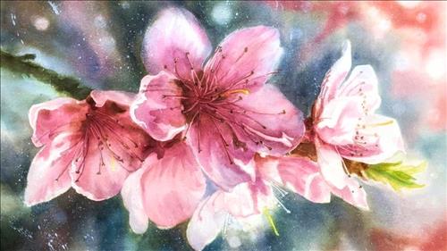 Kiến vàng lang thang