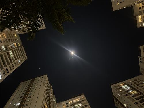 hẹn hò - Hoàng hôn-Lesbian -Age:38 - Single-TP Hồ Chí Minh-Lover - Best dating website, dating with vietnamese person, finding girlfriend, boyfriend.