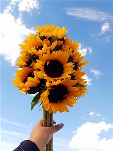 hẹn hò - Ngân-Lesbian -Age:29 - Divorce-TP Hồ Chí Minh-Confidential Friend - Best dating website, dating with vietnamese person, finding girlfriend, boyfriend.