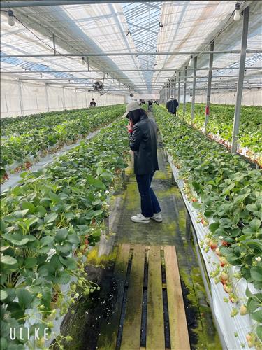 hẹn hò - Mùa Đông -Les -Tuổi:37 - Độc thân-TP Hồ Chí Minh-Người yêu lâu dài