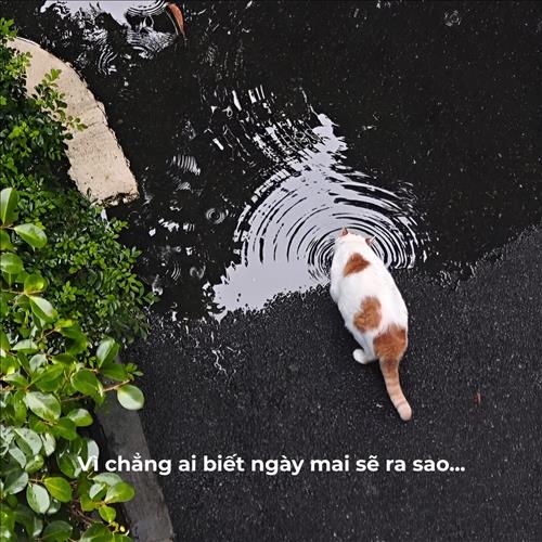 hẹn hò - Td-Lesbian -Age:42 - Single-TP Hồ Chí Minh-Friend - Best dating website, dating with vietnamese person, finding girlfriend, boyfriend.