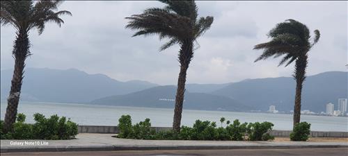 hẹn hò - Song tử-Lesbian -Age:42 - Divorce-TP Hồ Chí Minh-Lover - Best dating website, dating with vietnamese person, finding girlfriend, boyfriend.