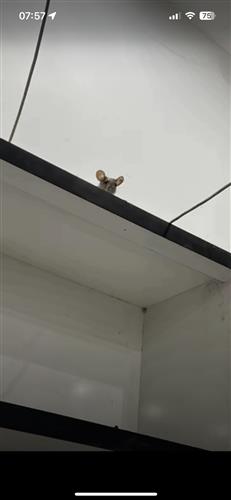 hẹn hò - Rùa-Les -Tuổi:24 - Độc thân-Hà Nội-Tìm bạn bè mới