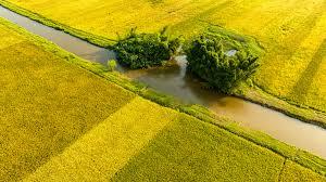 hẹn hò - An nhiên-Les -Tuổi:38 - Độc thân-TP Hồ Chí Minh-Người yêu lâu dài