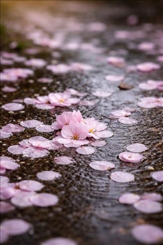 Muốn An Tĩnh Thêm Một Chút