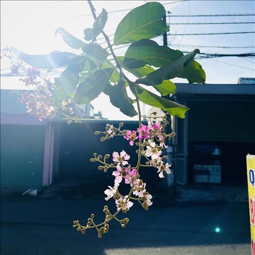 hẹn hò - Tuoi-Les -Tuổi:27 - Độc thân-Cần Thơ-Người yêu lâu dài