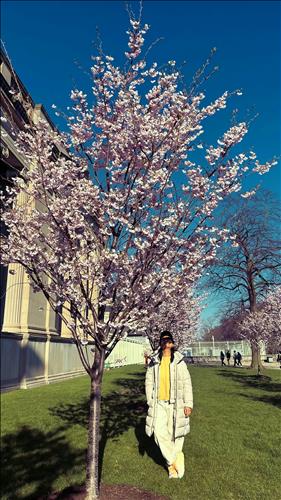 hẹn hò - Kei-Les -Tuổi:39 - Độc thân--Người yêu lâu dài