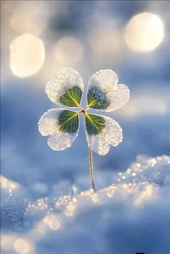 hẹn hò - An Nhiên -Les -Tuổi:39 - Độc thân-TP Hồ Chí Minh-Tìm bạn bè mới