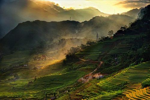 Yến