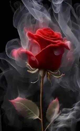 Tìm người đồng hành Sài Gòn 
