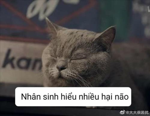hẹn hò - Tzza-Les -Tuổi:42 - Độc thân-TP Hồ Chí Minh-Người yêu lâu dài