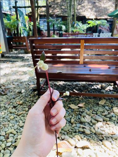 hẹn hò - Anna-Les -Tuổi:39 - Độc thân-TP Hồ Chí Minh-Người yêu lâu dài